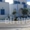 Loukas and Emma Family Houses_accommodation_in_Hotel_Cyclades Islands_Sandorini_Emborio