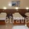 Hotel Admitos_best prices_in_Hotel_Thessaly_Magnesia_Volos City