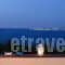 Hotel Abatis_accommodation_in_Hotel_PiraeusIslands - Trizonia_Agistri_Agistri Rest Areas