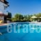 Aphrodite Studios_accommodation_in_Hotel_Macedonia_Halkidiki_Kassandreia