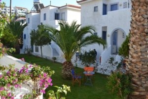 Maistrali Studios_accommodation_in_Hotel_Cyclades Islands_Andros_Andros City