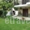 Evristhenis House_best prices_in_Room_Macedonia_Halkidiki_Toroni