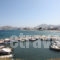 Lomvardou_best prices_in_Room_Cyclades Islands_Paros_Paros Chora