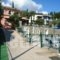 Paleo Inn_best deals_Hotel_Ionian Islands_Corfu_Palaeokastritsa