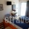 Paraschos Studios_best deals_Apartment_Dodekanessos Islands_Kos_Kardamena