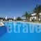 Eri Hotel_accommodation_in_Hotel_Cyclades Islands_Paros_Paros Chora