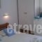 Pension Rena_best deals_Hotel_Cyclades Islands_Paros_Paros Chora