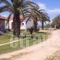 Liberty's Studios_lowest prices_in_Hotel_Ionian Islands_Corfu_Corfu Rest Areas