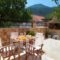 Venezia Apartments_lowest prices_in_Apartment_Ionian Islands_Kefalonia_Kefalonia'st Areas