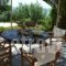 Aloe Studios_holidays_in_Hotel_Ionian Islands_Kefalonia_Kefalonia'st Areas