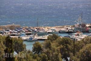 Hotel Vicky_travel_packages_in_Cyclades Islands_Paros_Piso Livadi