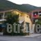 Odysseia Apartments_accommodation_in_Apartment_Ionian Islands_Lefkada_Lefkada Chora