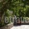 Kolios House_best deals_Hotel_Sporades Islands_Skiathos_Skiathos Chora