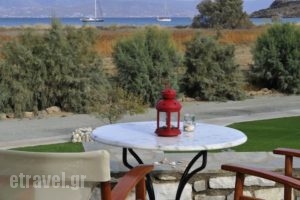 Anemones Studios_holidays_in_Hotel_Cyclades Islands_Paros_Paros Chora