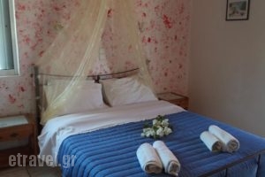 Homer'S Studio_accommodation_in_Hotel_Ionian Islands_Lefkada_Lefkada's t Areas