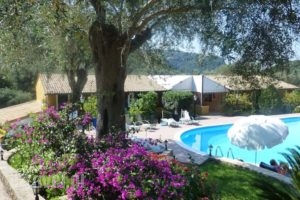 Aphrodite Studios_accommodation_in_Hotel_Ionian Islands_Corfu_Palaeokastritsa