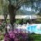 Aphrodite Studios_accommodation_in_Hotel_Ionian Islands_Corfu_Palaeokastritsa