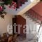 Alexatos Studios & Apartments_holidays_in_Apartment_Ionian Islands_Kefalonia_Kefalonia'st Areas