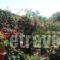 Tasia Studios_best deals_Hotel_Ionian Islands_Corfu_Corfu Rest Areas