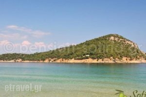 Pension Sotiria_travel_packages_in_Aegean Islands_Thasos_Thasos Chora