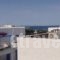 Hotel Eleftheria_holidays_in_Hotel_Cyclades Islands_Paros_Paros Chora