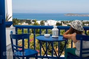 Aloe_holidays_in_Hotel_Cyclades Islands_Paros_Paros Chora