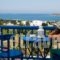 Aloe_holidays_in_Hotel_Cyclades Islands_Paros_Paros Chora