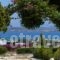 Aloe_best prices_in_Hotel_Cyclades Islands_Paros_Paros Chora