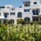 Aloe_accommodation_in_Hotel_Cyclades Islands_Paros_Paros Chora