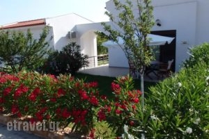 Ktima Amitsa Studios & Apartments_best prices_in_Apartment_Macedonia_Halkidiki_Toroni