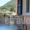 Odysseia Apartments_holidays_in_Apartment_Ionian Islands_Lefkada_Lefkada Chora