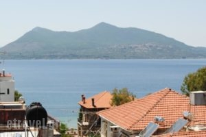 Hotel Kalypso_holidays_in_Hotel_Central Greece_Evia_Edipsos