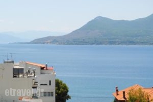 Hotel Kalypso_best deals_Hotel_Central Greece_Evia_Edipsos