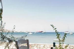 Camping Koula_lowest prices_in_Hotel_Cyclades Islands_Paros_Paros Chora