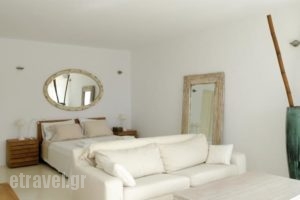 Villa Joy_lowest prices_in_Villa_Cyclades Islands_Mykonos_Mykonos ora