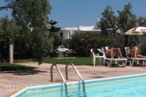 Manolas Studios_best deals_Hotel_Sporades Islands_Skiathos_Skiathos Chora