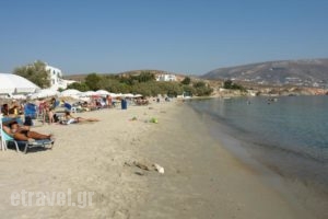 Krios Beach Camping_accommodation_in_Hotel_Cyclades Islands_Paros_Paros Chora