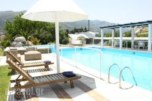 Paradise Art Hotel_travel_packages_in_Cyclades Islands_Andros_Andros City