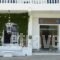 Paradise Art Hotel_holidays_in_Hotel_Cyclades Islands_Andros_Andros City