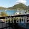 Penelope Studios_accommodation_in_Hotel_Ionian Islands_Lefkada_Lefkada Rest Areas