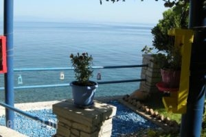 Alkioni Studios_holidays_in_Hotel_Aegean Islands_Samos_Karlovasi