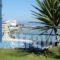 Alkioni Studios_best deals_Hotel_Aegean Islands_Samos_Karlovasi