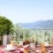 Eleonas Guesthouse_accommodation_in_Hotel_Central Greece_Fthiotida_Atalanti