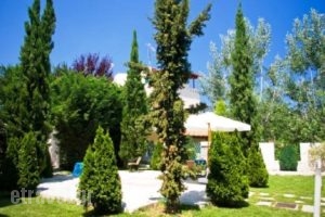 Gi Ga Mar_lowest prices_in_Hotel_Macedonia_Halkidiki_Kassandreia