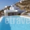 Lights Of Mykonos_lowest prices_in_Hotel_Cyclades Islands_Mykonos_Mykonos ora