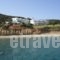 Studios Fokia Beach_accommodation_in_Hotel_Dodekanessos Islands_Karpathos_Karpathos Chora