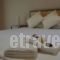 Zonita Guest House_best prices_in_Hotel_Macedonia_Halkidiki_Nea Moudania