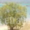 To Kyma_best deals_Hotel_Peloponesse_Lakonia_Elafonisos