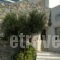 Pelican Hotel_accommodation_in_Hotel_Cyclades Islands_Mykonos_Mykonos Chora