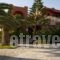 Georgia Vicky Studios & Apartments_best deals_Apartment_Crete_Chania_Akrotiri